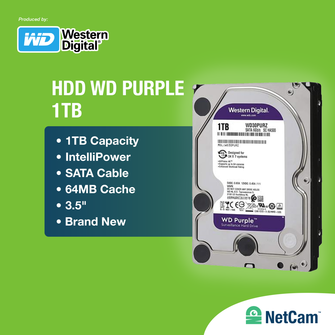 WD PURPLE  HDD (1TB)